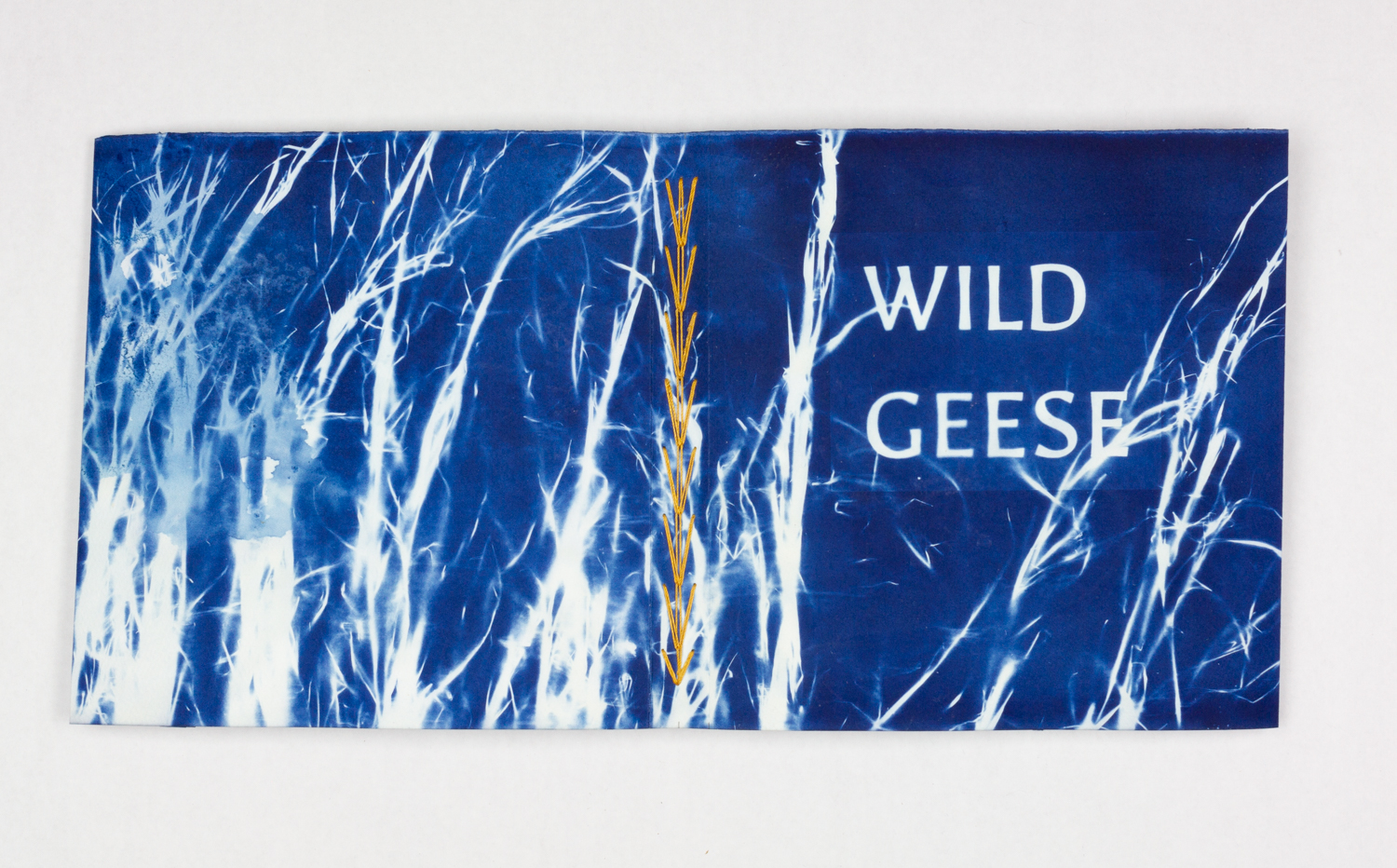 Printing images and text with cyanotype - The Printing Museum